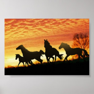 Poster Wild Mustangs