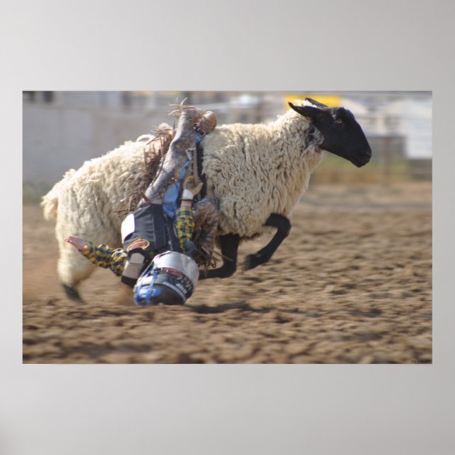 Poster Wild Ride (Devant)