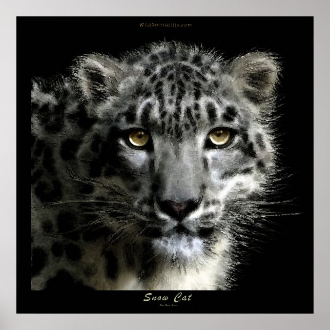 Poster WILD SNOW LEOPARD Art Imprimer (Devant)