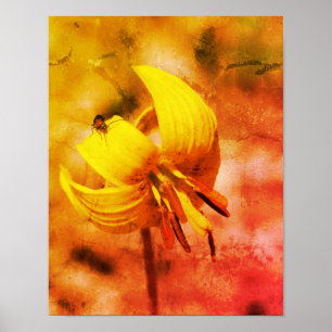 Poster Wild Trout Lily Flower And Insect Friend Abstract