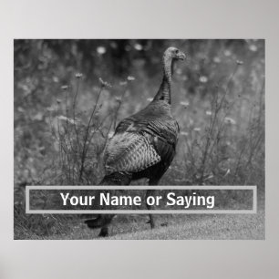 Poster Wild Turkey B&W photo