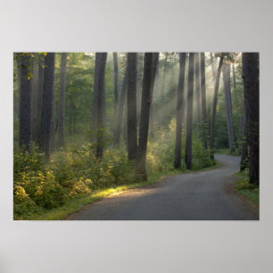 Poster Wilderness Drive, parc d'État d'Itasca,