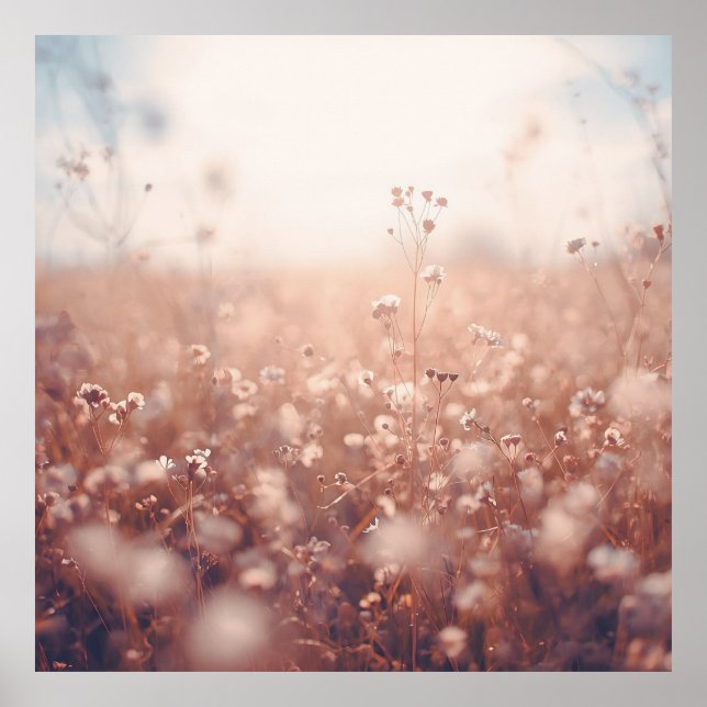 Poster Wildflower Dreamscape  (Devant)