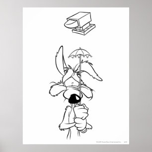 Poster Wile E Coyote Acme Products