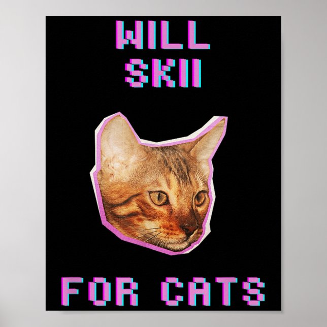 Poster Will Skiing For Cats Funny Winter Snow Adventure  (Devant)