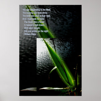 Poster William Blake "plaisir silencieux" poème citation