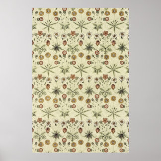 Poster William Morris