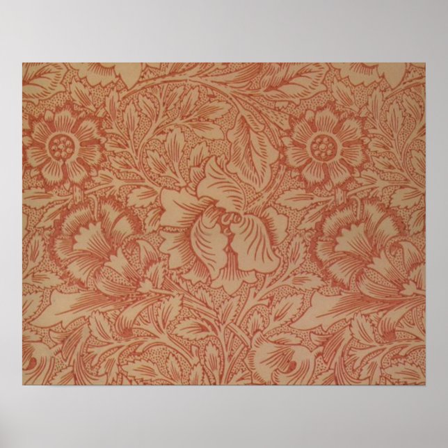 Poster William Morris Fleur de pavot rose Floral (Devant)