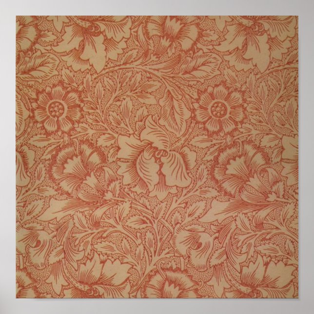 Poster William Morris Fleur de pavot rose Floral (Devant)