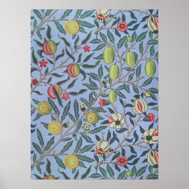 Poster William Morris Fruit grenade bleu ornement (Devant)