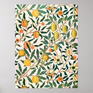 Poster William Morris Fruit grenade Ornement blanc