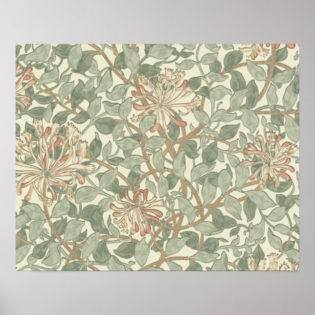 Poster William Morris Honeysuckle Fond d'écran (Devant)