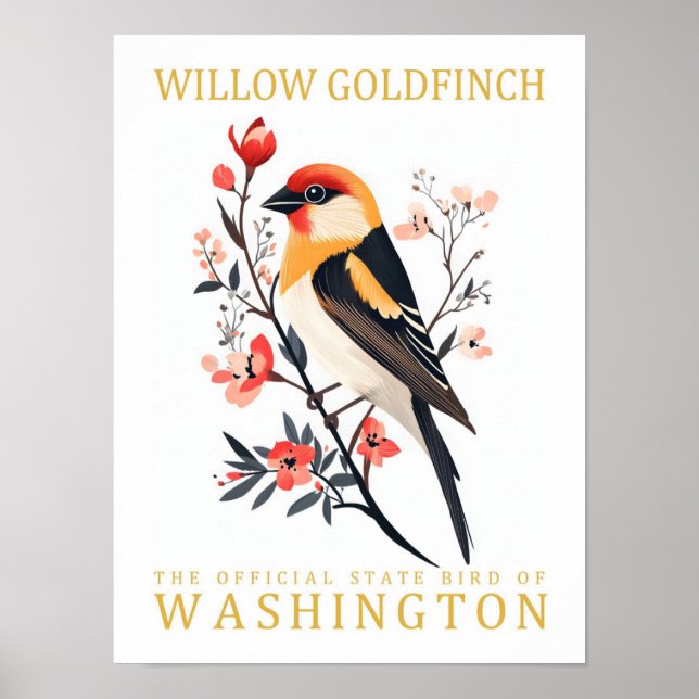 Poster Willow Goldfinch Bird de Washington Travel (Devant)