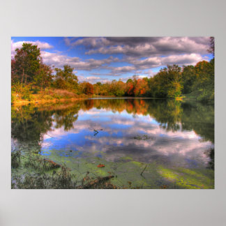 Poster Willow Pond - Cherokee Park