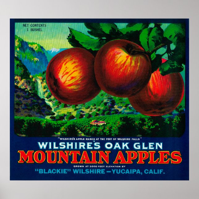 Poster Wilshire's Oak Glen Apple Crate Étiquette (Devant)