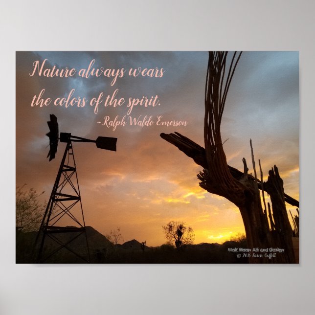 Poster Windmill Saguaro Cactus Skeleton Arizona Sunset (Devant)