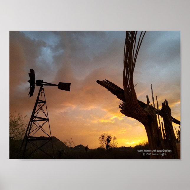 Poster Windmill Saguaro Cactus Skeleton Arizona Sunset (Devant)