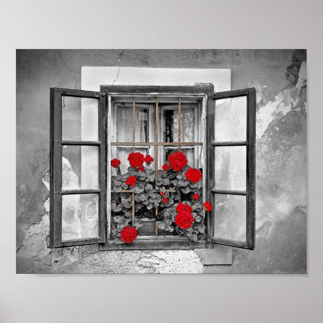Poster window-477937 window house black and white flowers (Devant)