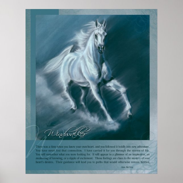 Poster Windwalker (Devant)