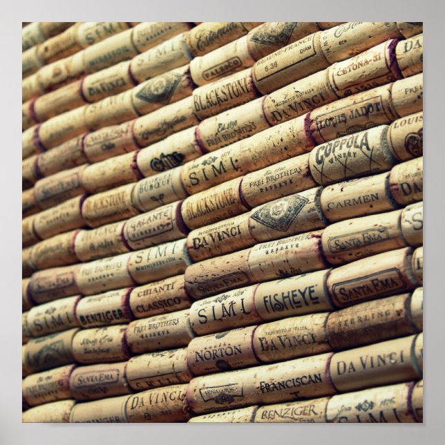 Poster WIne Lover (Devant)
