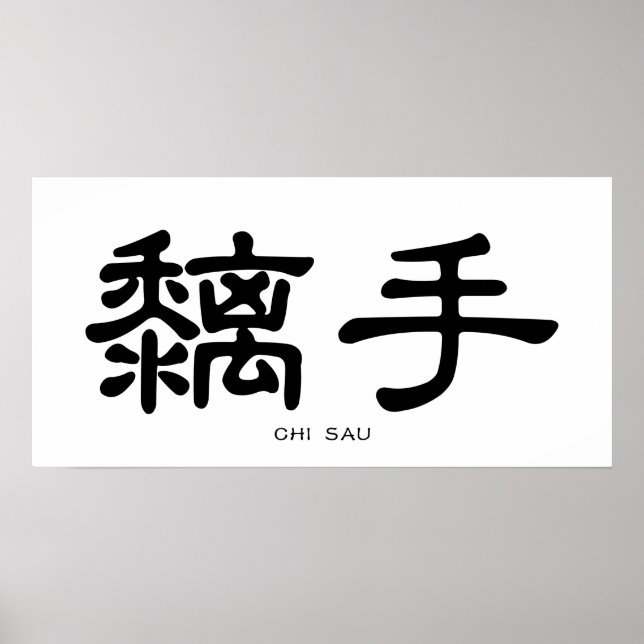 Poster Wing Chun Chi Sau Chine Calligraphie (Devant)