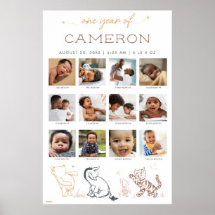 Poster Winnie l'ourson Classique   Un an de - 12 Mois