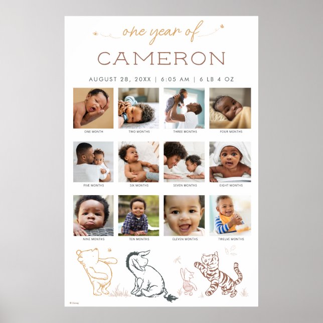 Poster Winnie l'ourson Classique | Un an de - 12 Mois (Devant)