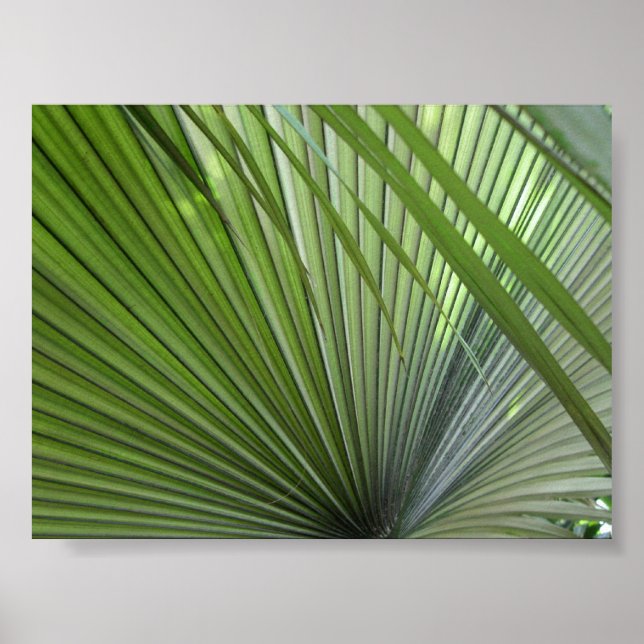 Poster "Winnow" (Devant)