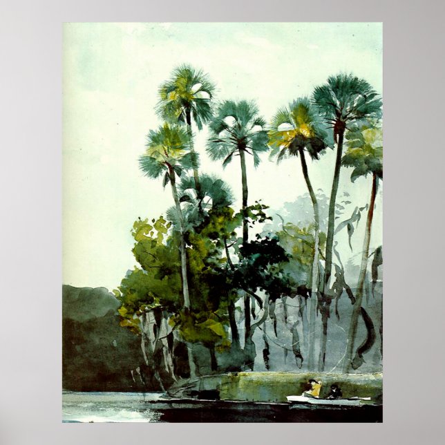 Poster Winslow Homer - Homosassa River (Devant)