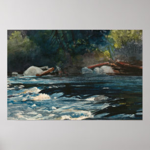 Poster Winslow Homer - Les Rapids, Hudson River