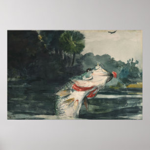 Poster Winslow Homer Life Size Black Bass