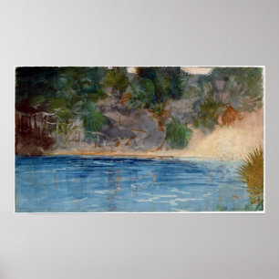 Poster Winslow Homer Printemps bleu, Floride