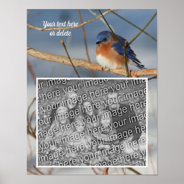 Poster Winter Bluebird Personnalisé Créer Votre Propre Ph (Devant)