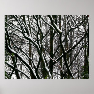 Poster Winter Branches