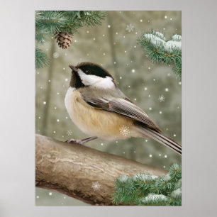 Poster "Winter Chickadee" Alan Giana