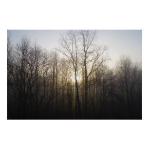 Poster Winter Fog Sunrise Nature Photographie
