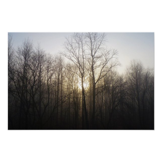Poster Winter Fog Sunrise Nature Photographie (Devant)