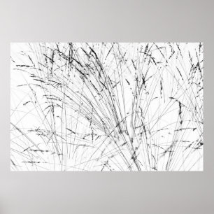 Poster Winter Grass In Snow