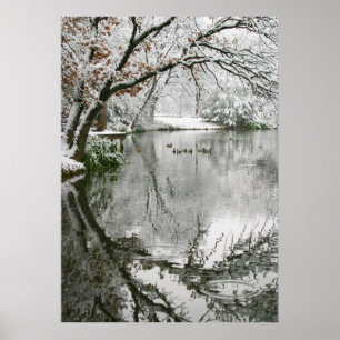 Poster Winter Scene
