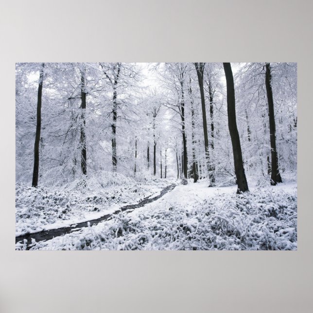 Poster Winter Wonderland (Devant)