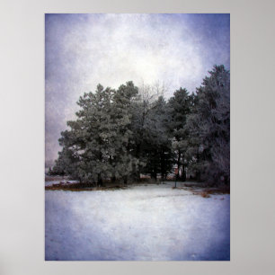 Poster Winter Wonderland