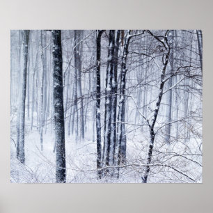 Poster Winter Wonderland