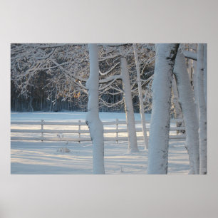 Poster Winter Wonderland