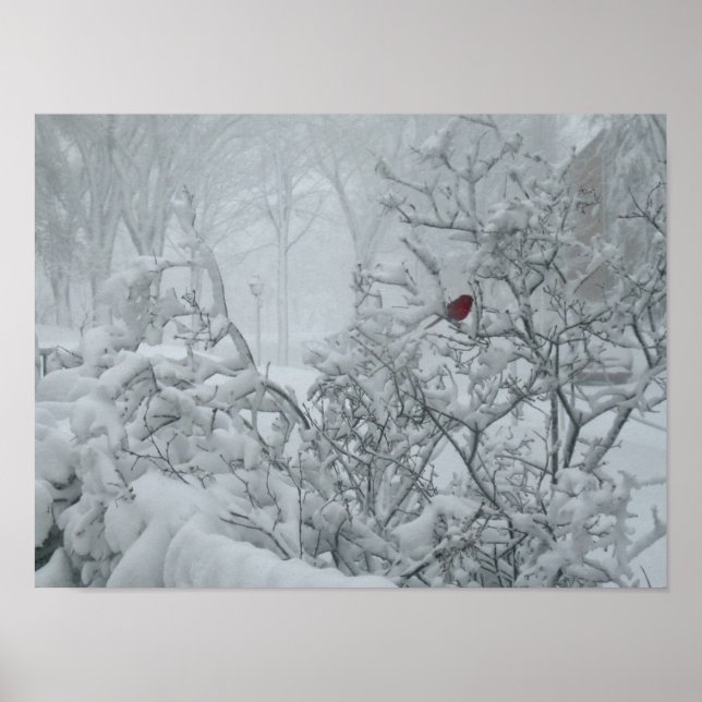 Poster Winter Wonderland (Devant)