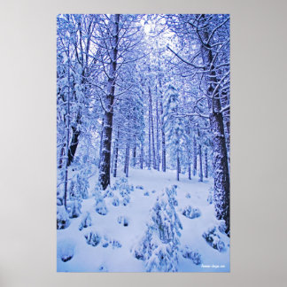 Poster Winter Wonderland