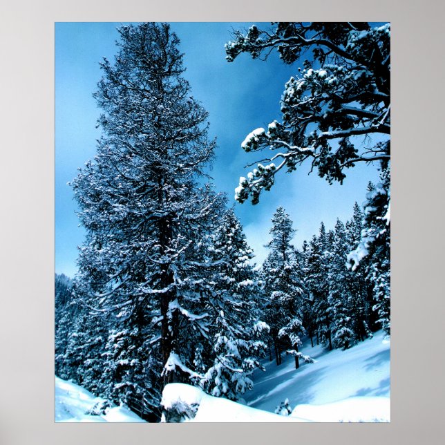 Poster Winter Wonderland (Devant)