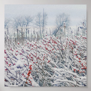 Poster winterberry and cattails