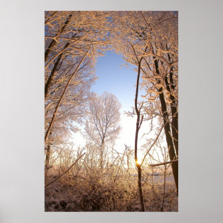 Poster Wintergate