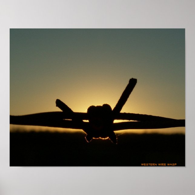 Poster Wire Wasp (Devant)