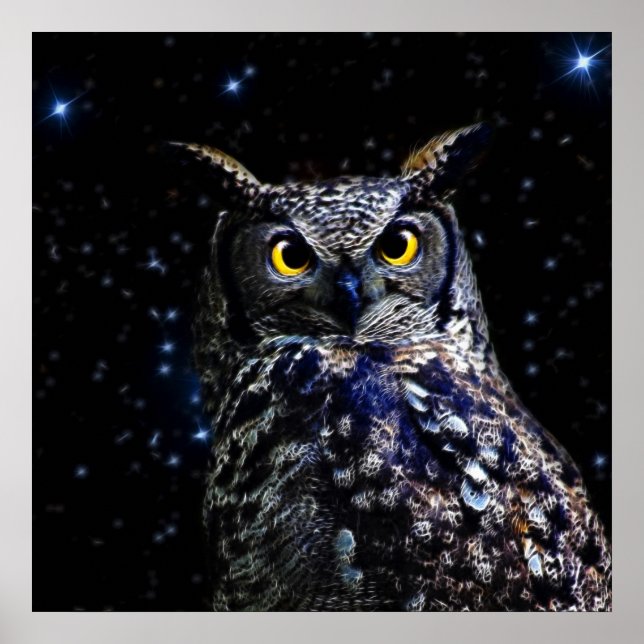 Poster Wise old Owl and stars (Devant)